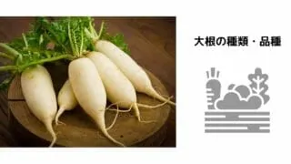 ミュウズ Kitchen Garden 現役農家が家庭菜園について解説