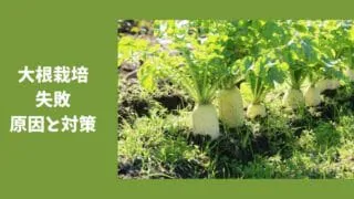 ミュウズ Kitchen Garden 現役農家が家庭菜園について解説