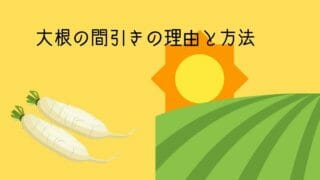 ミュウズ Kitchen Garden 現役農家が家庭菜園について解説