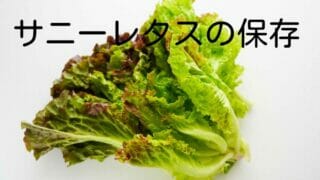 大根の保存方法 発泡スチロールで 保存期間は冷蔵庫で長持ち ミュウズ Kitchen Garden