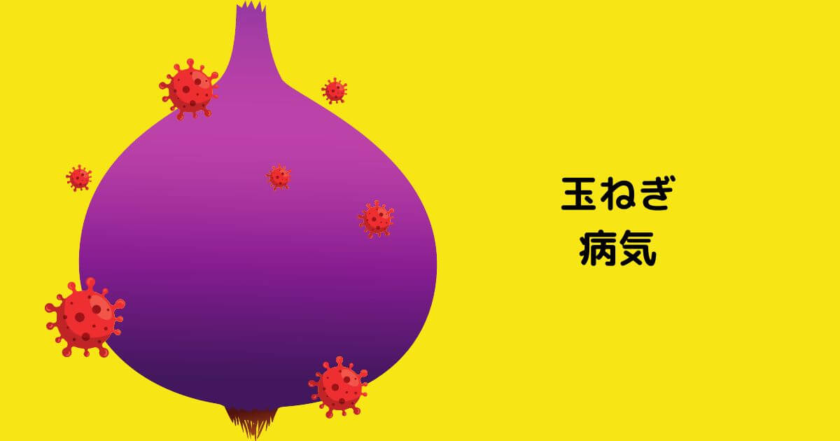 医師はどのようにして脂腺癌を診断するのでしょうか?