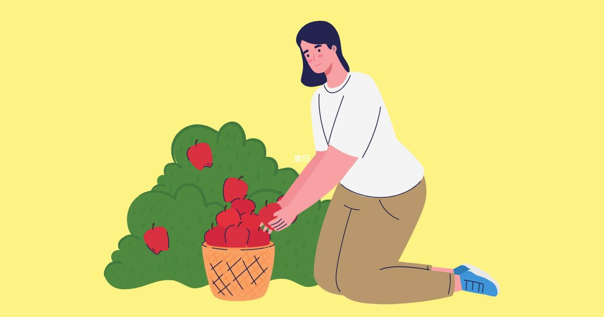 トマト 栽培方法