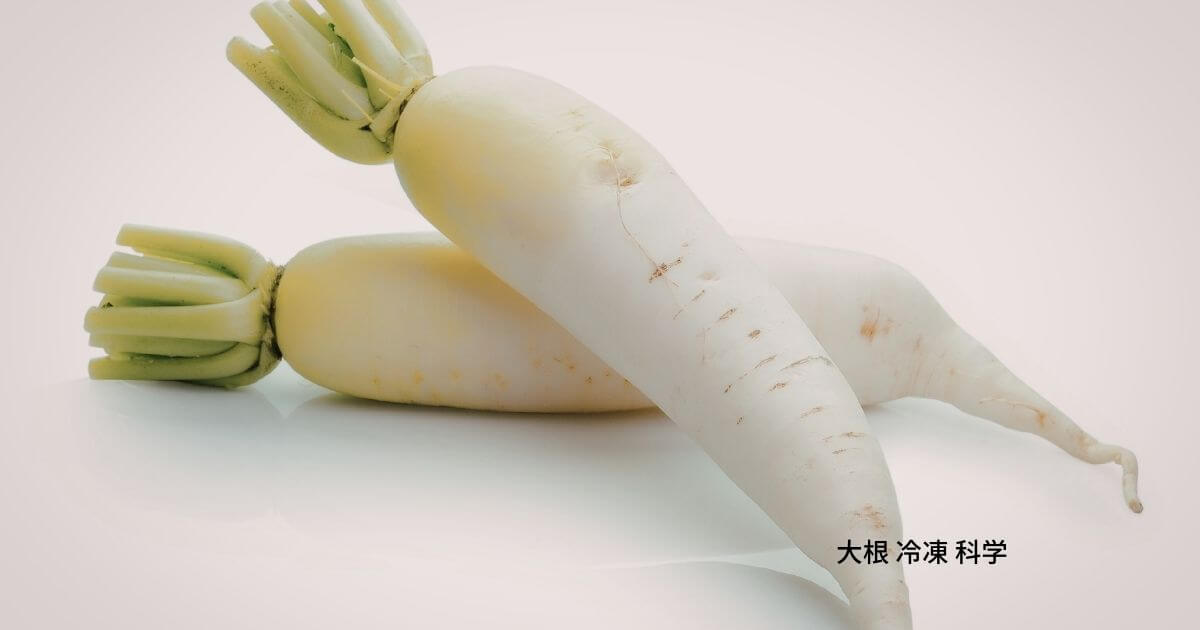 大根 冷凍 科学