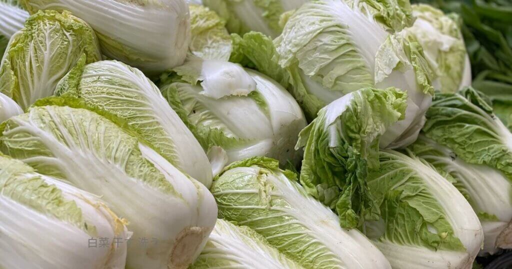 白菜 干す 洗う