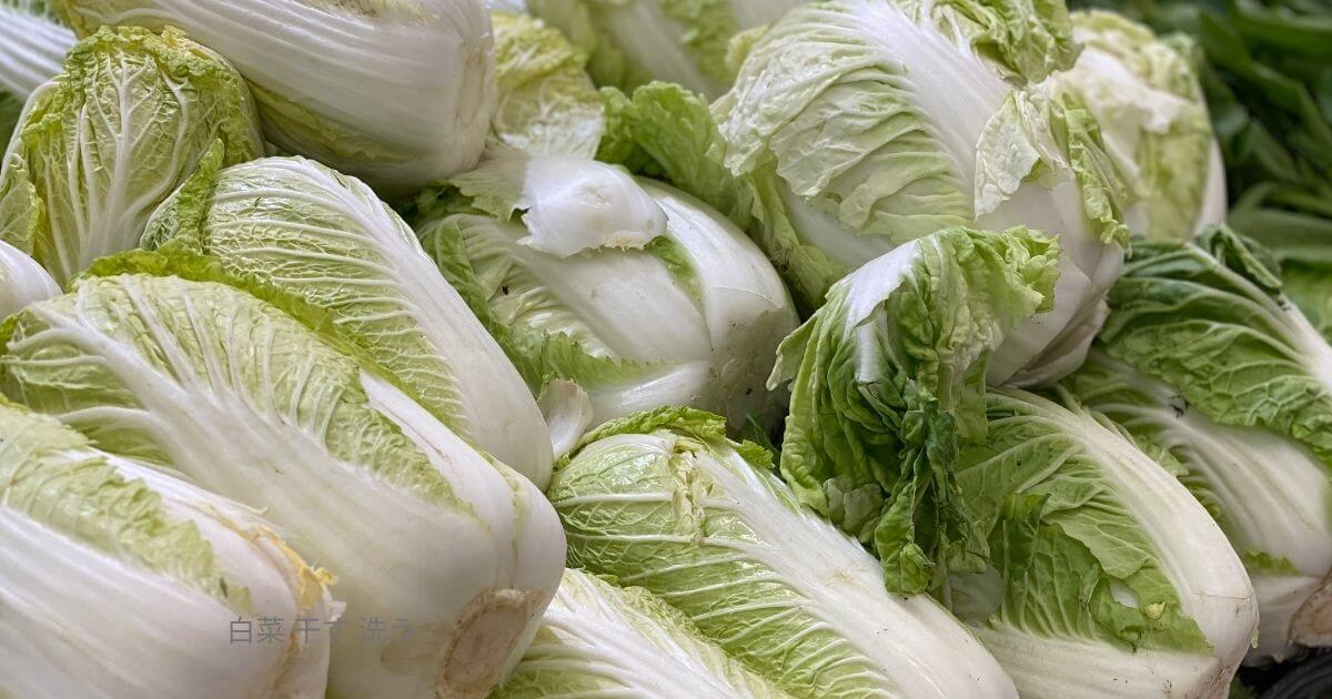 白菜 干す 洗う